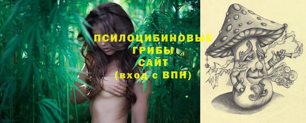 крисы Балахна